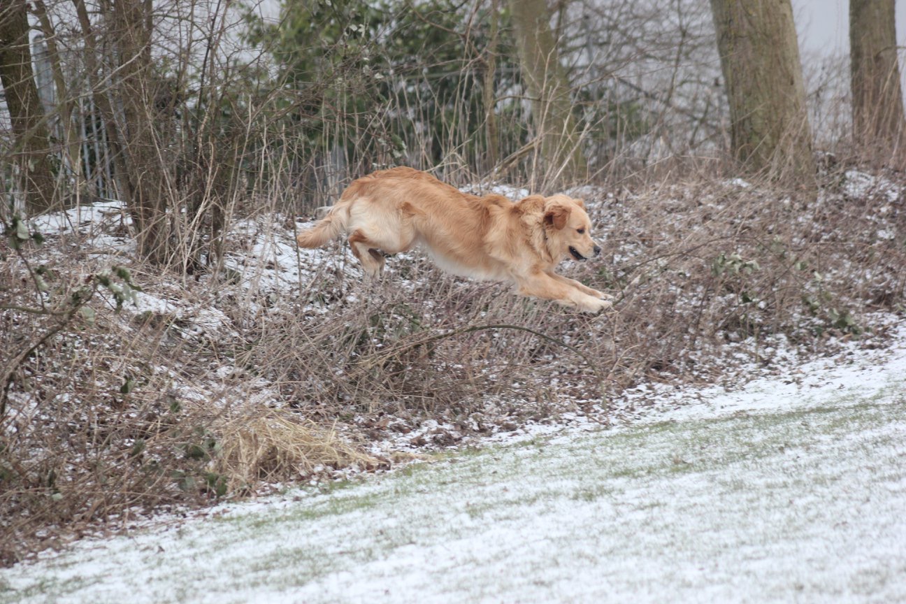 Landing inzetten