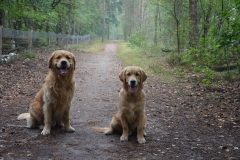 In het bos