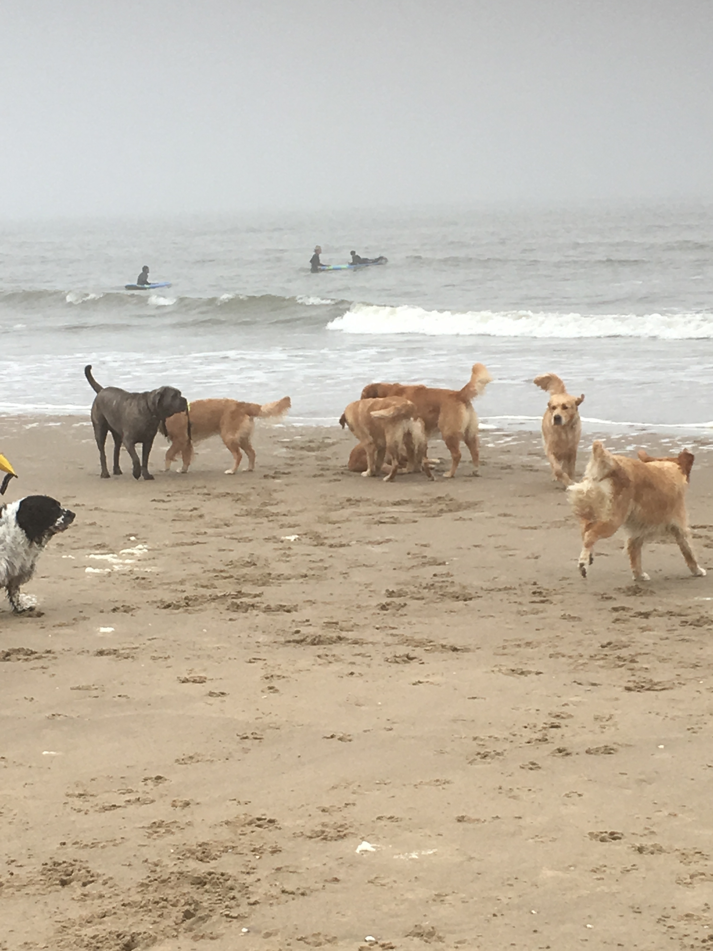 Heerlijk op strand.