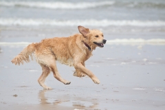 Rennen op het strand