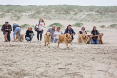 Het hele nest met eigenaren. Na te lang stilzitten.