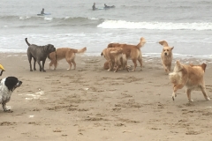 Heerlijk op strand.